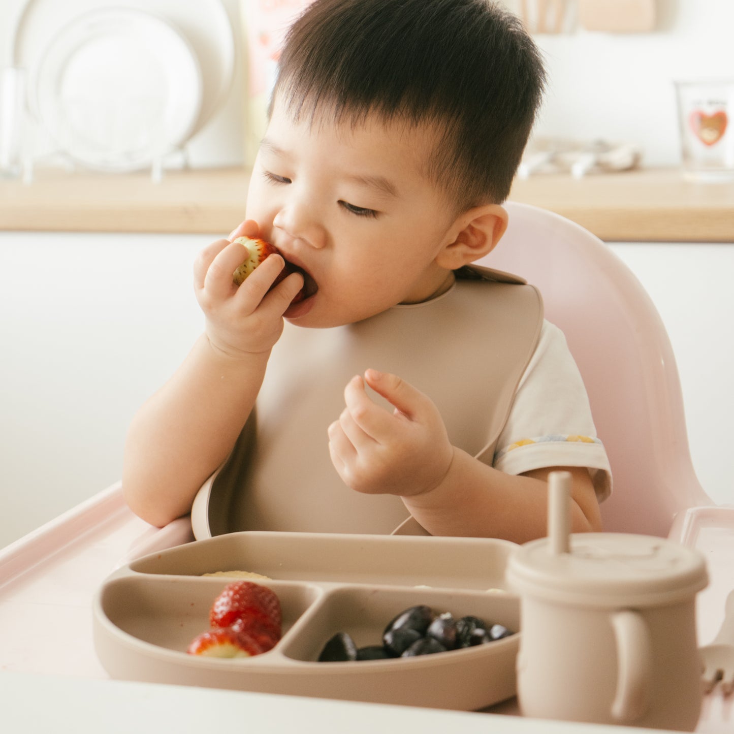 B's Perfect Feeding Essential Set